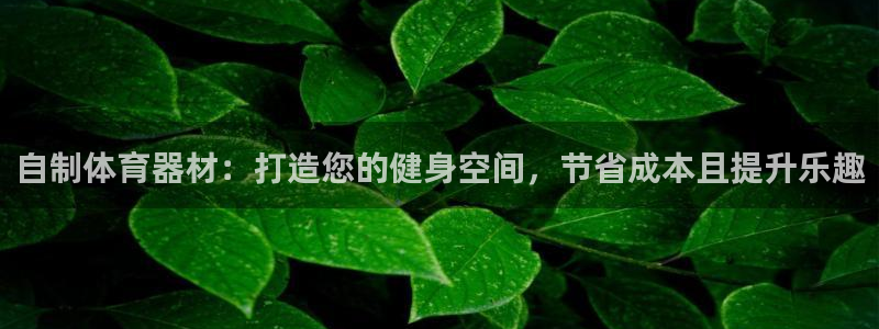 富联官网注册不了账号怎么办：自制体育器材：打造您的健