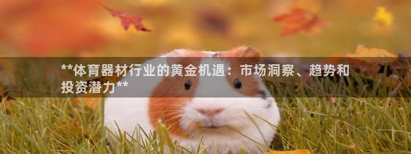 富联平台网站官网：**体育器材行业的黄金机遇：市场洞