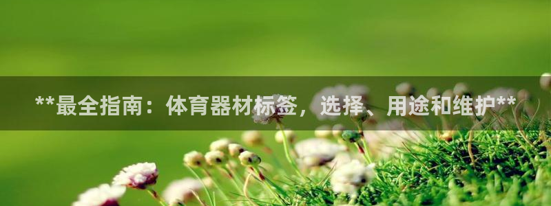 富联娱乐总代理电话：**最全指南：体育器材标签，选择