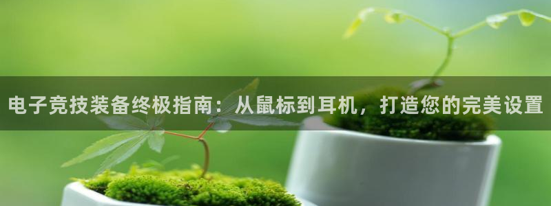 富联平台登录网址查询：电子竞技装备终极指南：从鼠标到