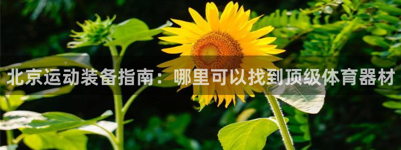 富联平台注册地址在哪里：北京运动装备指南：哪里可以找