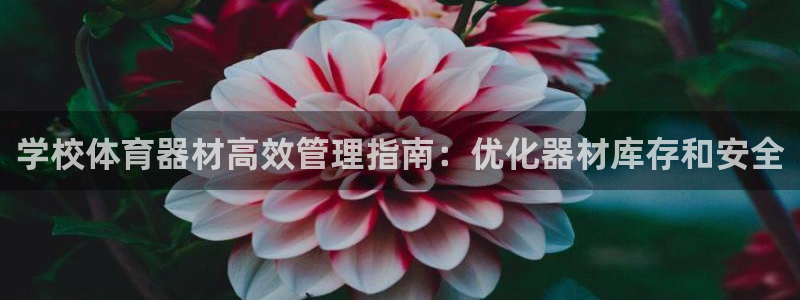 富联官方网站入口网址是多少：学校体育器材高效管理指南