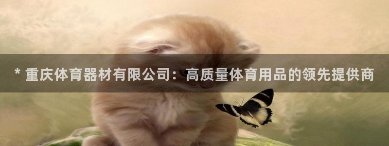 富联娱乐客户端app下载服务：* 重庆体育器材有限公司：高质