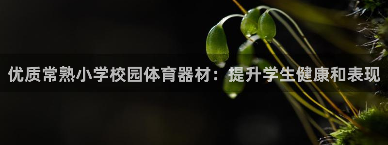 富联平台登陆：优质常熟小学校园体育器材：提升学生健康