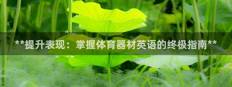 富联通讯招聘：**提升表现：掌握体育器材英语的终极指