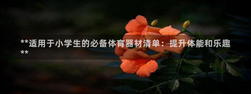 富联平台是什么：**适用于小学生的必备体育器材清单：