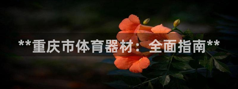 富联平台赢钱不给退怎么办理：**重庆市体育器材：全面