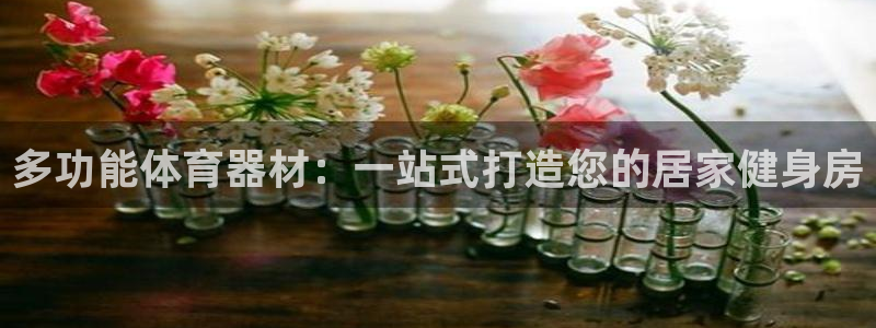 富联娱乐下载官网：多功能体育器材：一站式打造您的居家