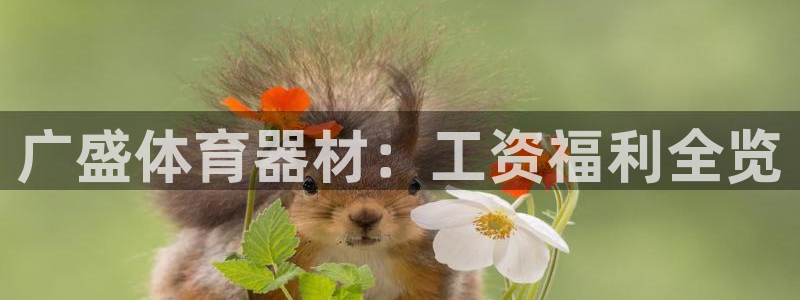 富联商城：广盛体育器材：工资福利全览