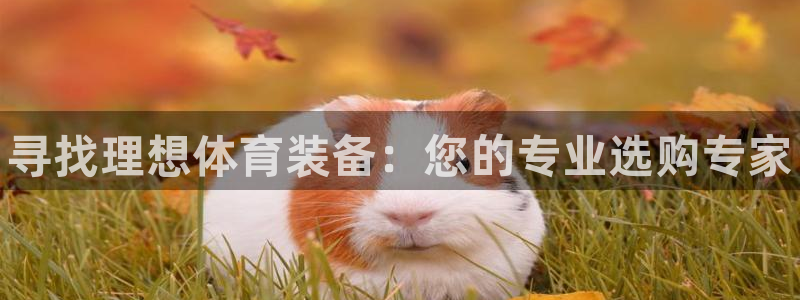 富联平台注册地址是哪里