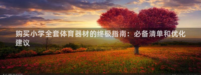 富联平台登录网址查询：购买小学全套体育器材的终极指南