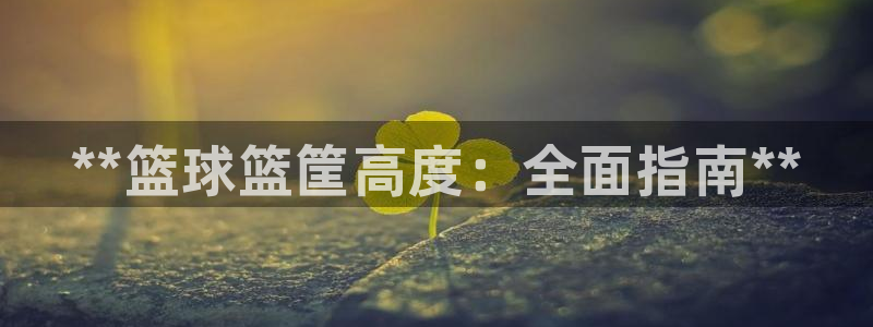 富联智能工坊：**篮球篮筐高度：全面指南**