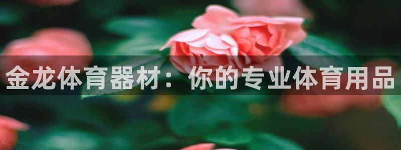 富联平台官网登录：金龙体育器材：你的专业体育用品