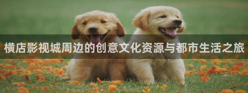 战地战地