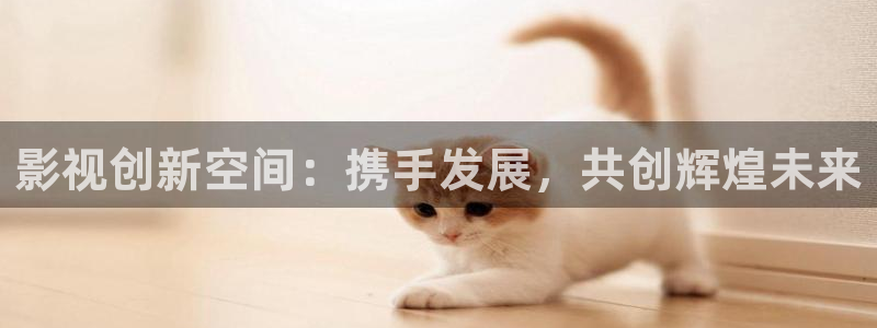韩国电影战地影院：影视创新空间：携手发展，共创辉煌未来