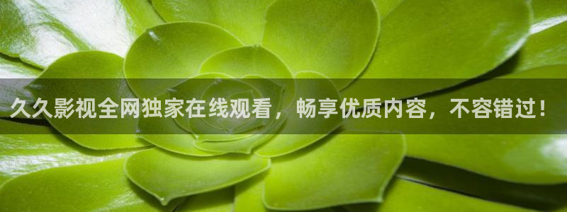 战地影院在线观看完整版免费